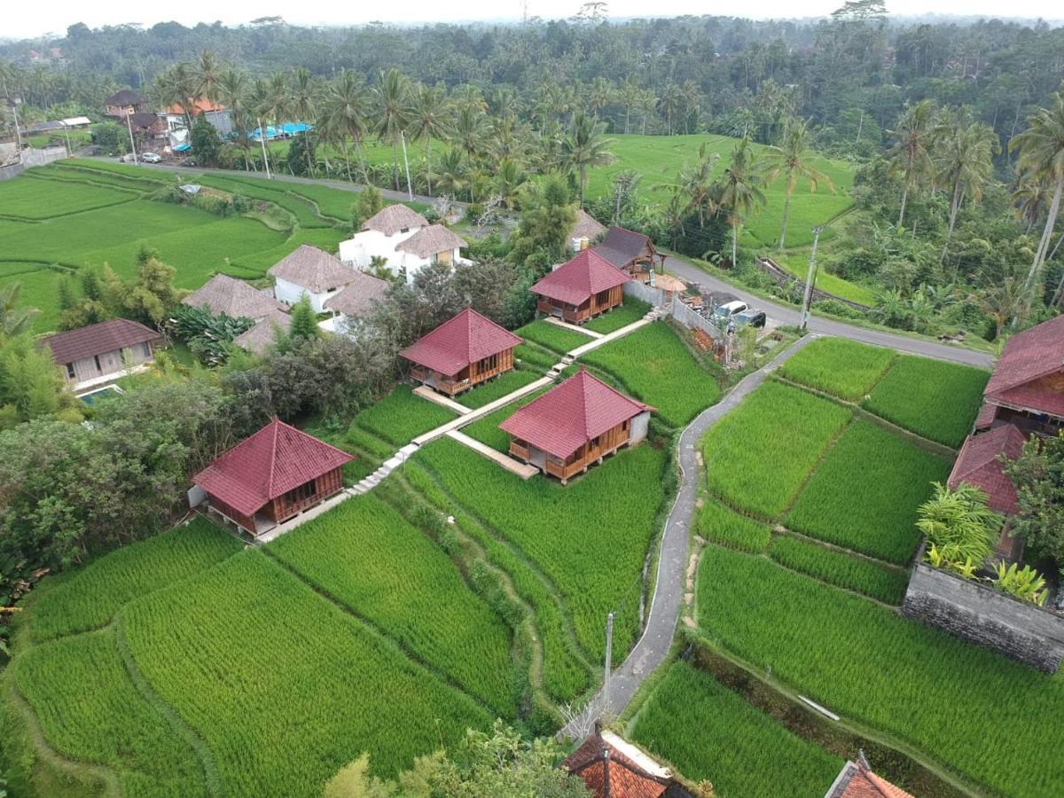 Ubud Sawah Scenery Villa And Homestay Tegallalang  Exterior foto