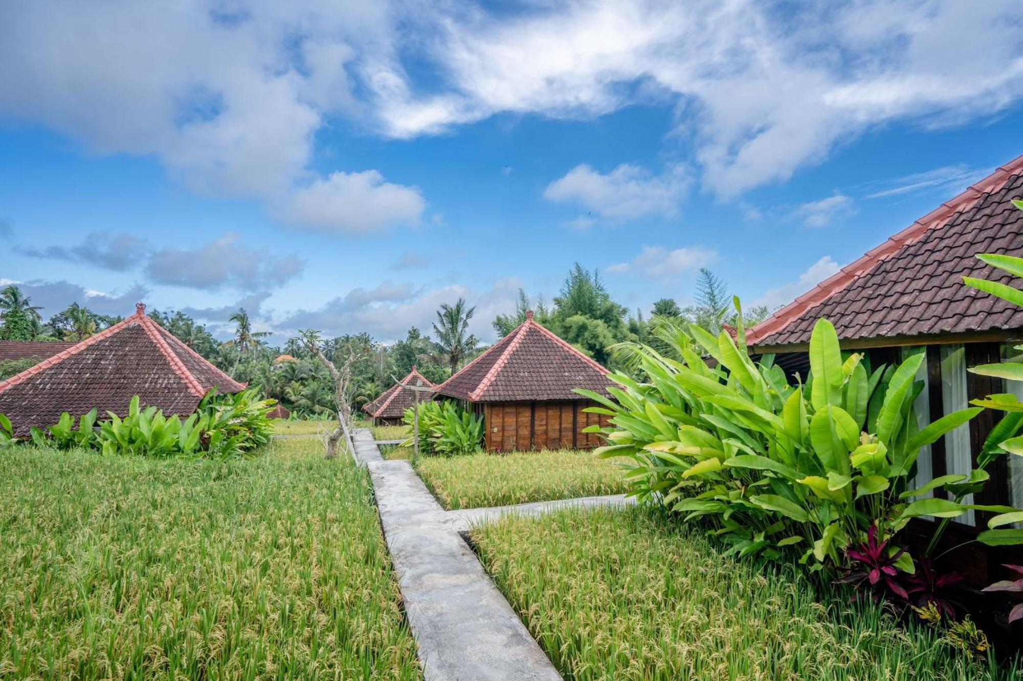 Ubud Sawah Scenery Villa And Homestay Tegallalang  Exterior foto